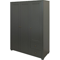 Фото - Шкаф для одежды 3Д «Джио» П7.060.1.16