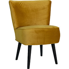 Фото - Кресло «Лорд 2» (12) - Только онлайн