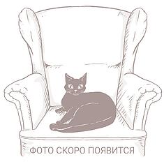 Фото - 2-х местный диван «Алези» (2м)