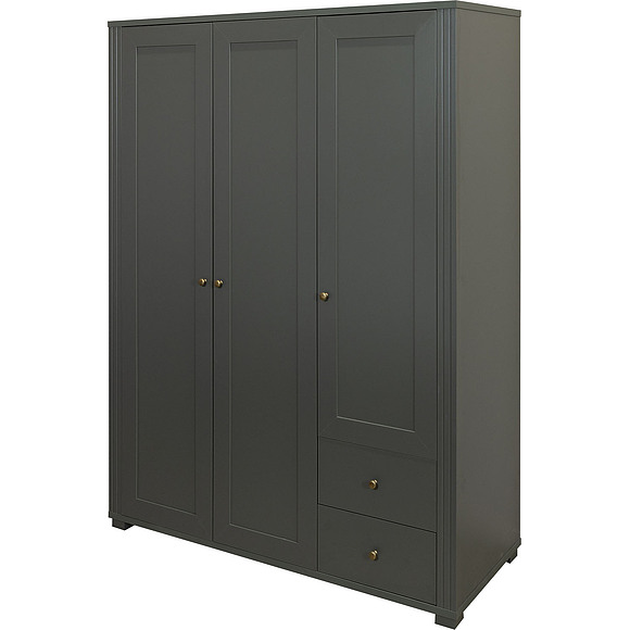 Шкаф для одежды 3Д «Джио» П7.060.1.16