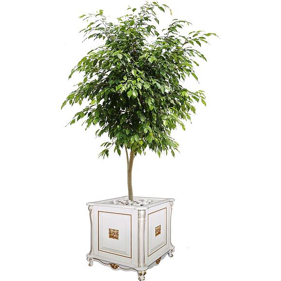 Подставка декоративная «Алези Люкс» П1.349.0.20 (П350.20л), Основной материал: массив дуба, Цвет: Слоновая кость с золочением (Podstavka_dekorativnaia_Alezi_2_Luks_P350-20L.jpg) Подставка декоративная «Алези Люкс» П1.349.0.20 (П350.20л)